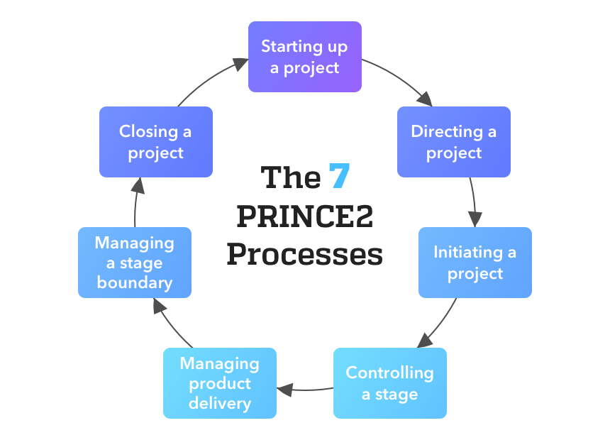 Classification of project management processes by management and